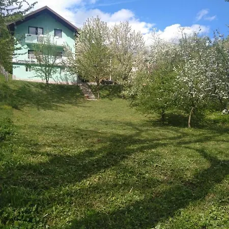 House Holiday home *