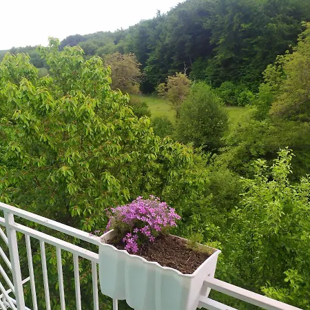 House Holiday home Sarajevo