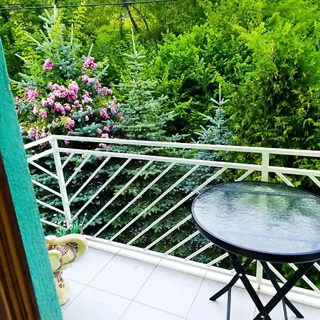House Sarajevo