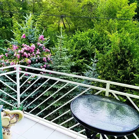 House Holiday home Sarajevo