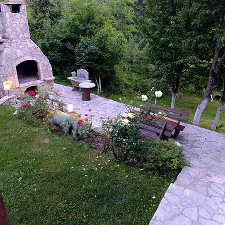 House Holiday home *