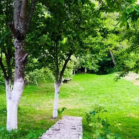 House Holiday home Sarajevo